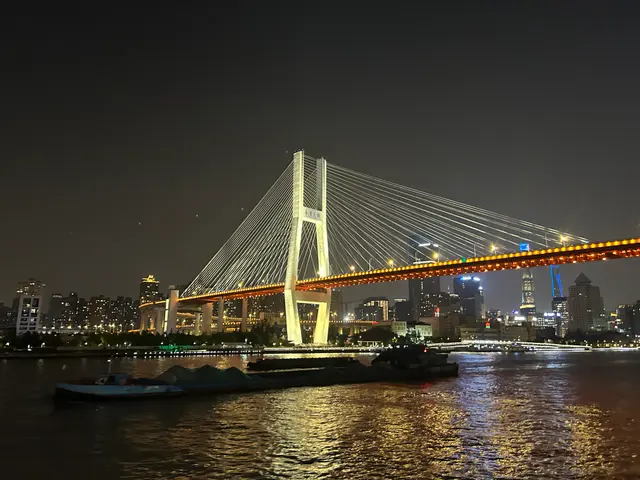 上海斜拉桥夜景