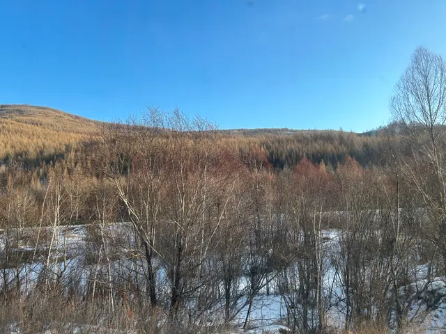 阿尔山冬日湿地
