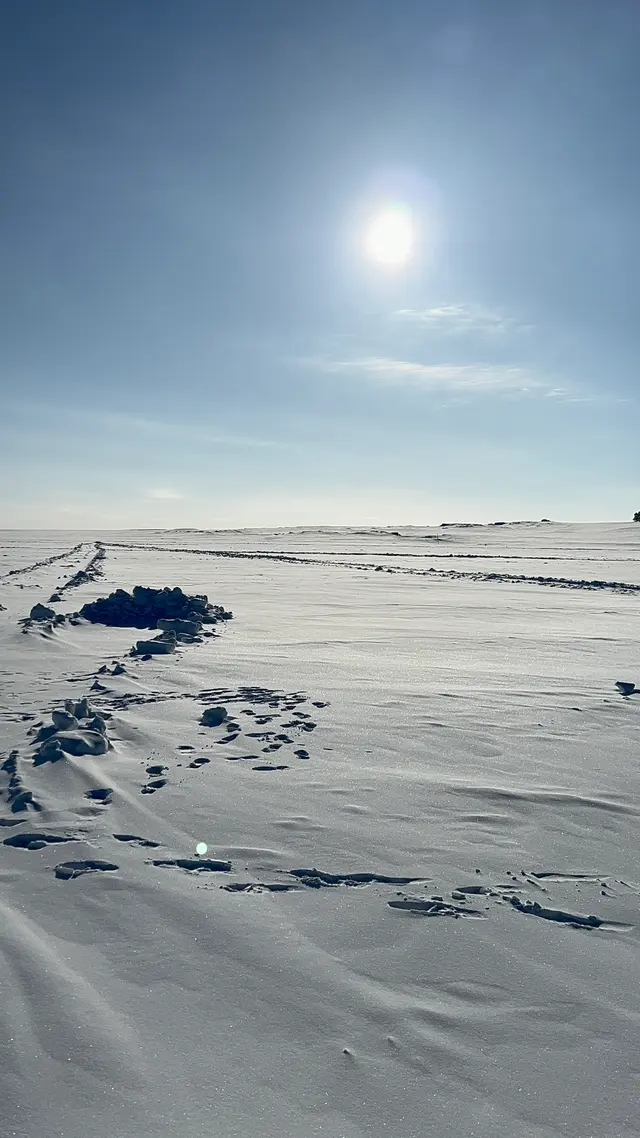 阿尔山雪地足迹
