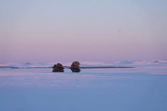阿尔山粉色雪原