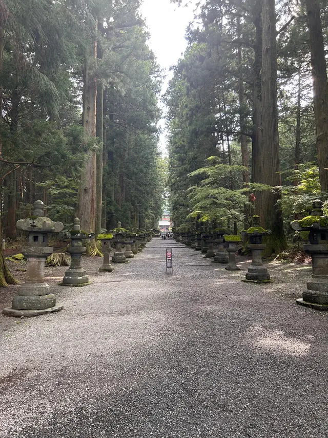 神社参道林荫