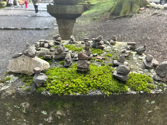 苔石上的叠石