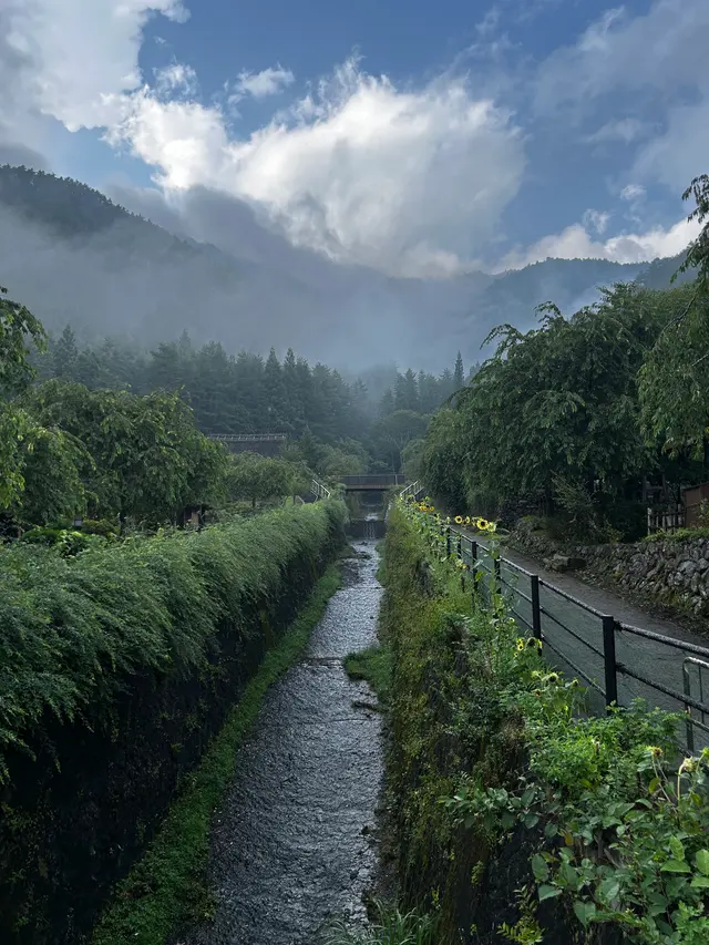富士山脚水渠