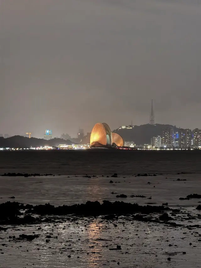 珠海海岸夜景