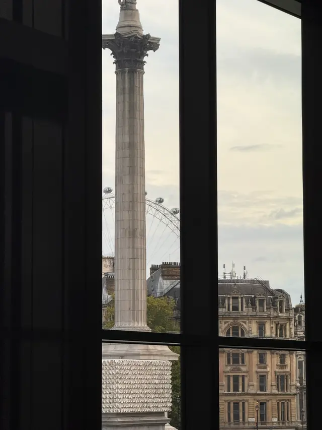 纳尔逊纪念柱窗景