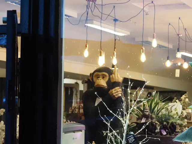 湖区小店橱窗