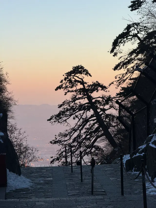 泰山松影暮色
