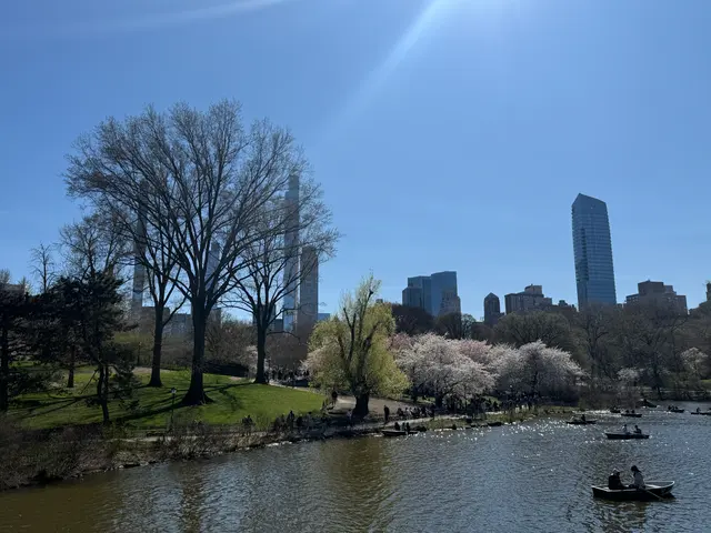 中央公园湖景