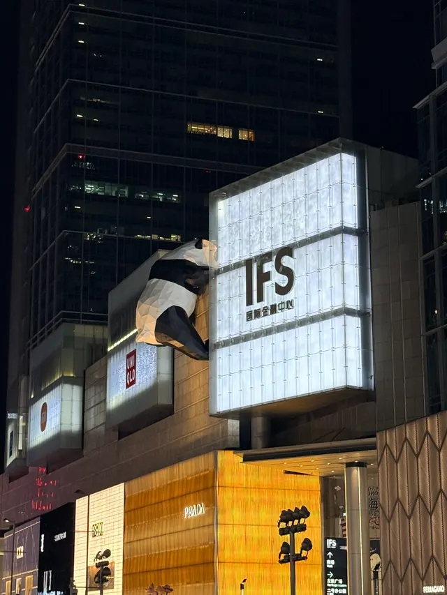IFS夜色里的熊猫
