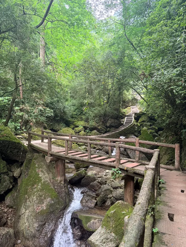 溪桥与林间石阶