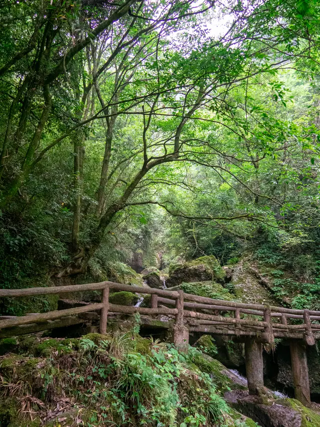 林溪上的小桥
