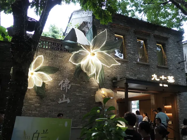 青砖墙前的灯花