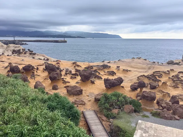 Photographed at Yehliu Geopark in New Taipei, where mushroom and honeycomb rocks spread across the shore beneath low clouds that mute the distant hills and sea.