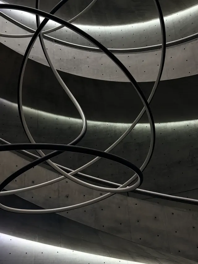Photographed at He Art Museum in Foshan, where dark and pale sculptural curves cross through the exposed-concrete atrium beneath rings of light.