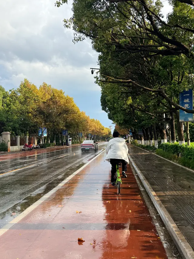 湿润街道上的骑行